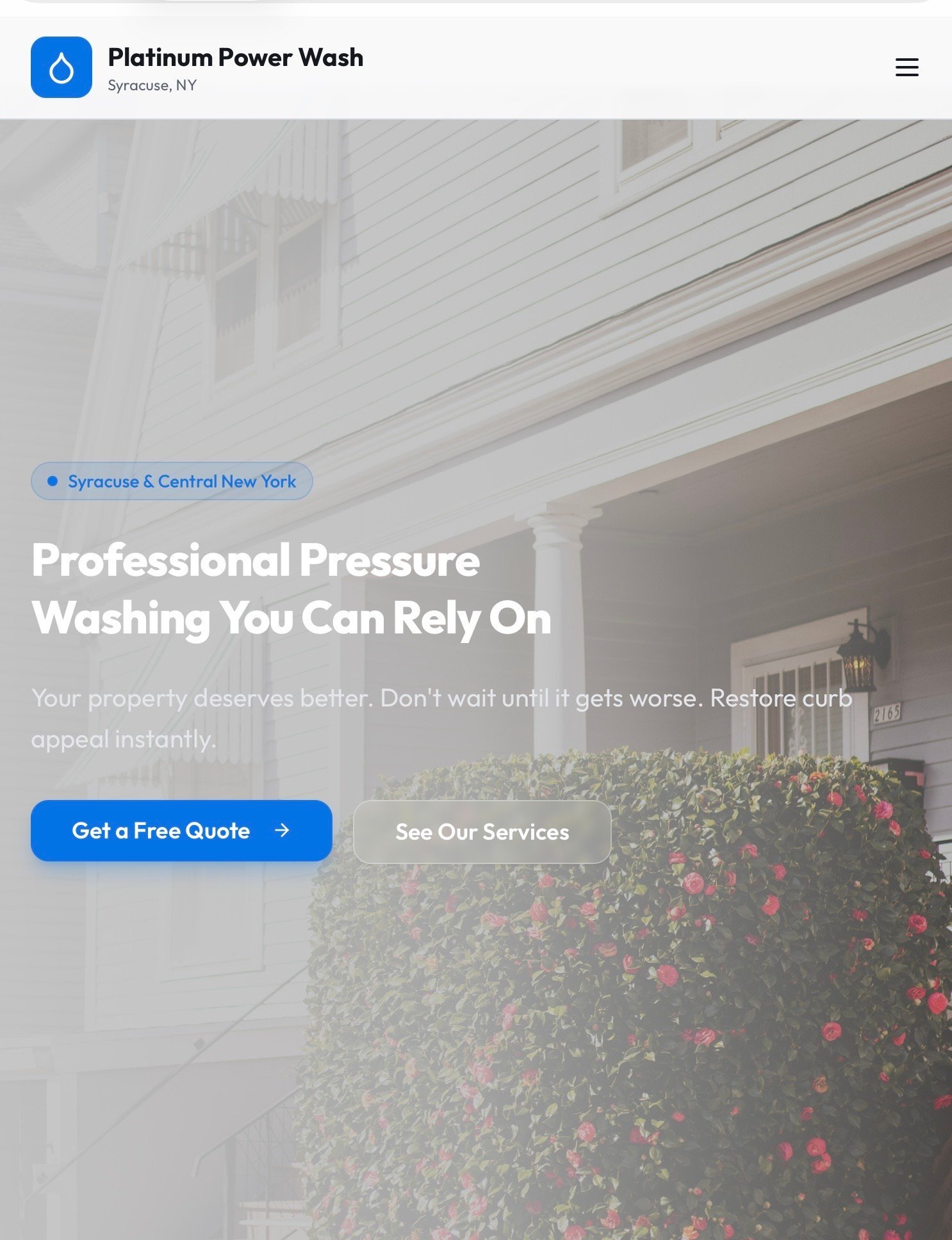 Professional pressure washing service website for Platinum Power Wash in Syracuse, NY, featuring a home with clean siding and flowering plants